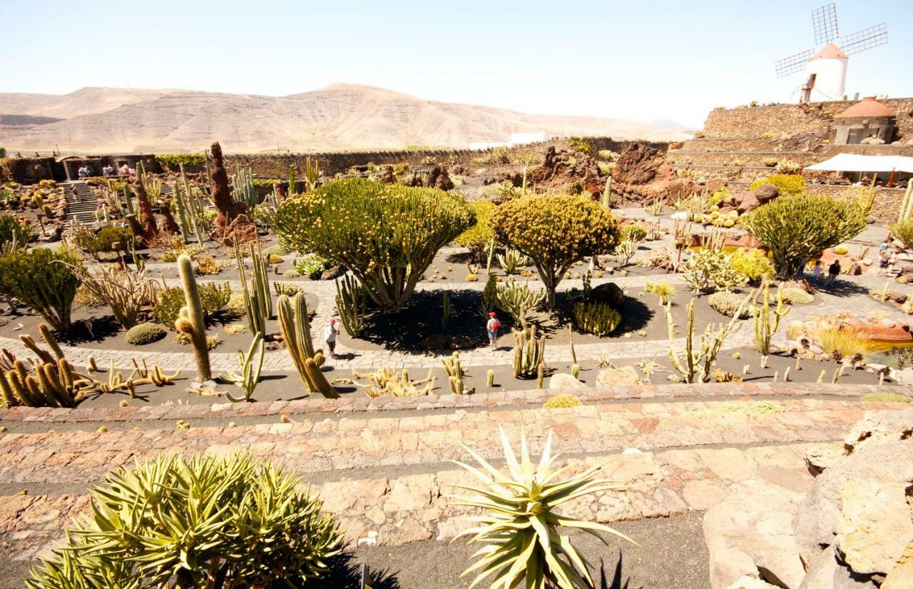 Casa Valle De Palmeras Haria Ngoại thất bức ảnh